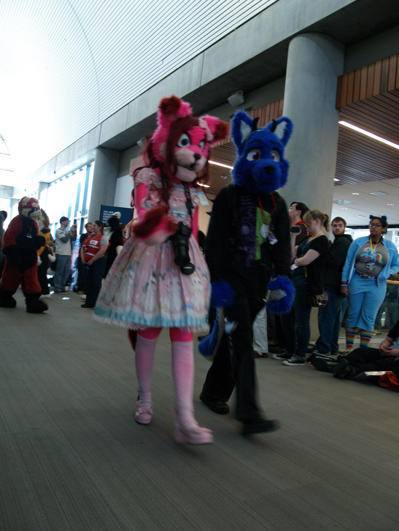 Illustration for article titled My Weekend At A Furry Convention
